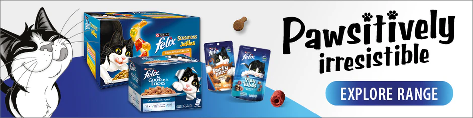 Style and Comfort for Every Pet